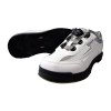 DX DIAL SILVER