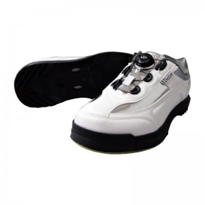 DX DIAL SILVER